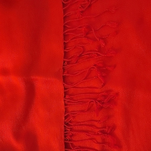 PASHMINA Silk Pashmina Red Paisley Fringe Valentine's Shawl Wrap - Picture 4 of 11